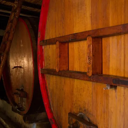 Tire Bouchon Apartment *