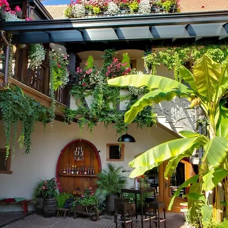 Apartment Tire Bouchon *